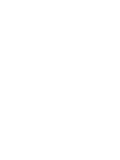 IT Lead